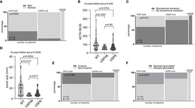 Relevance of mutations in protein deubiquitinases genes and TP53 in corticotroph pituitary tumors